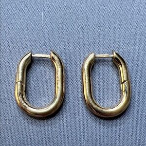Chunky Oval Gold Hoop Earrings